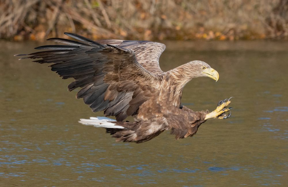Photograph by Татьяна Ливеровская