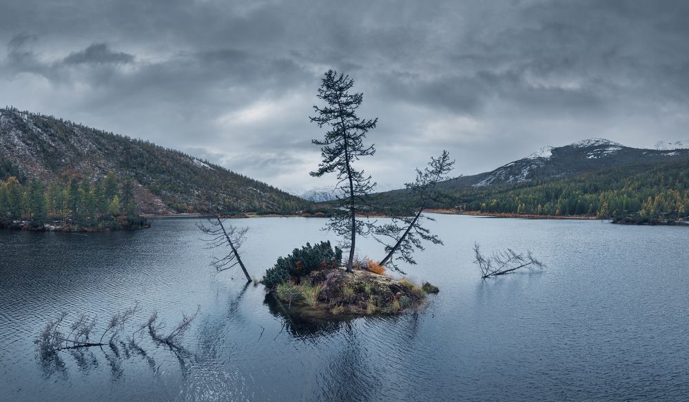 Фотография автора Шишкин Дмитрий