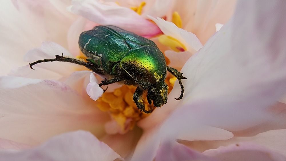 Photograph by Филиппов Олег