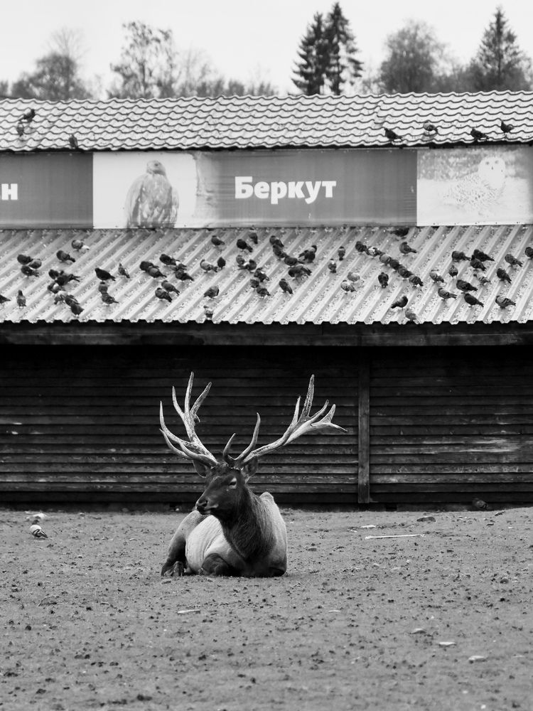 Photograph by Евгения Казакова