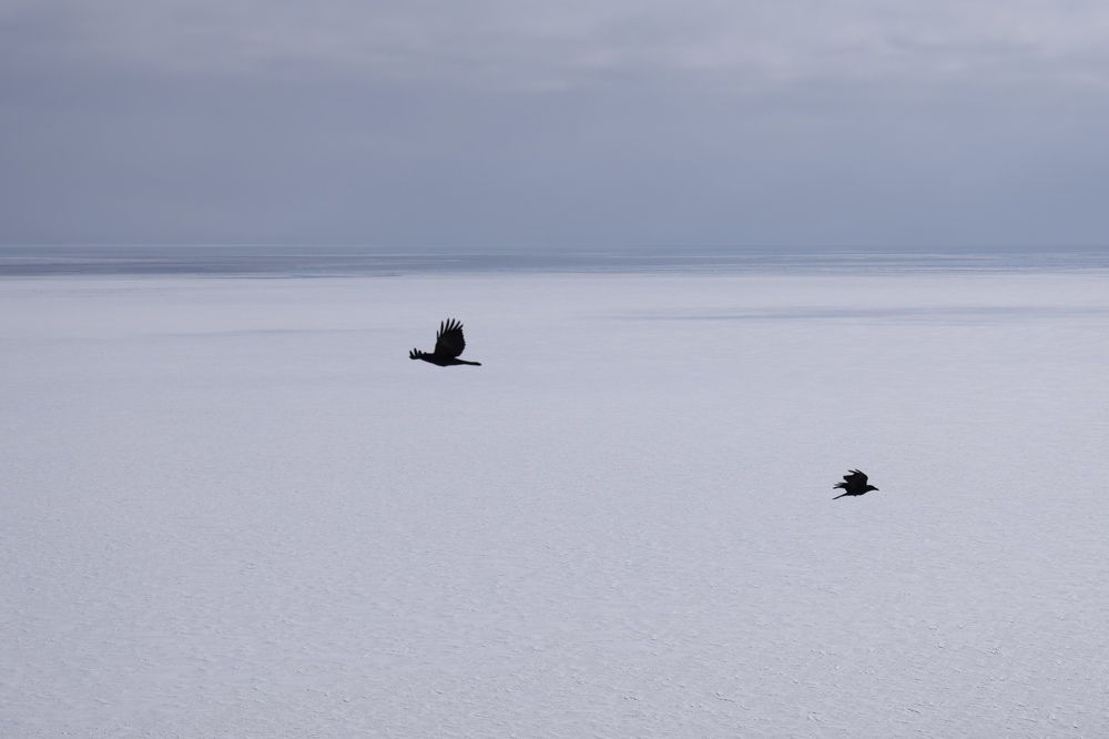 Photograph by Евгения Казакова