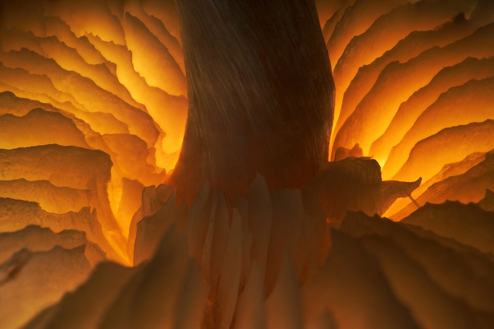 Фотография автора Panagiotis Dalagiorgos