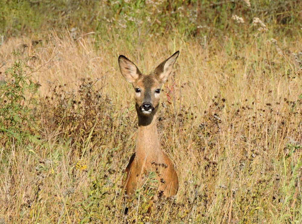 Photograph by Александр Захаров