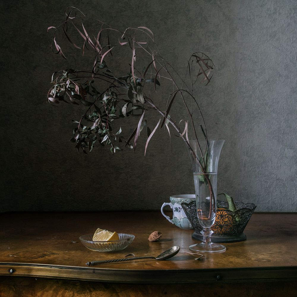 Фотография автора Анна Петина