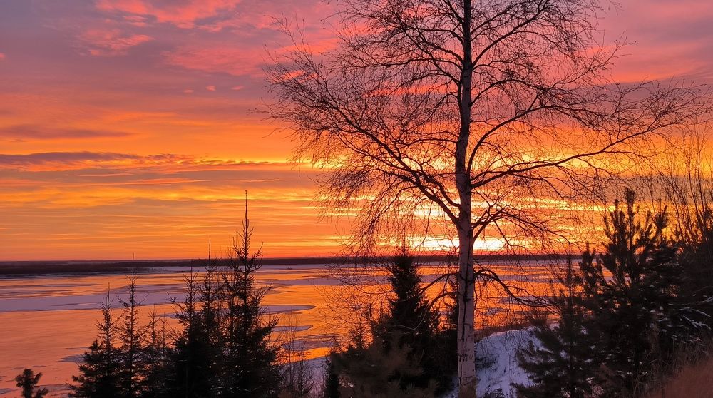 Photo #9947463