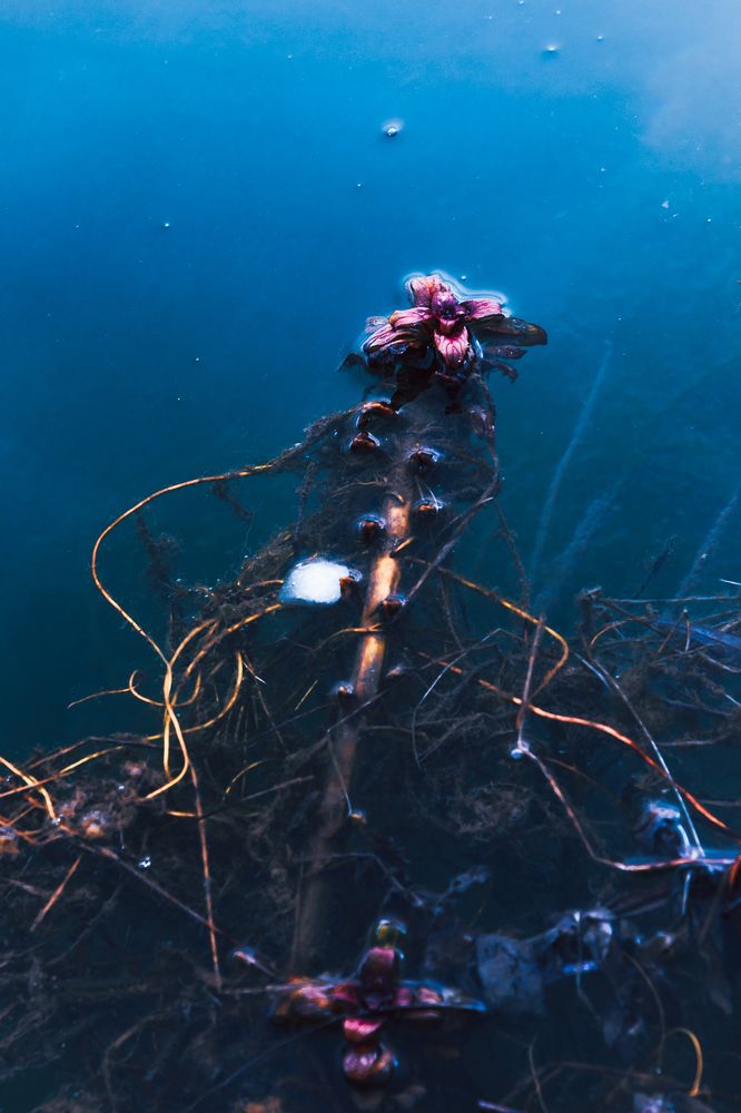 Photograph by Zamin Jafarov