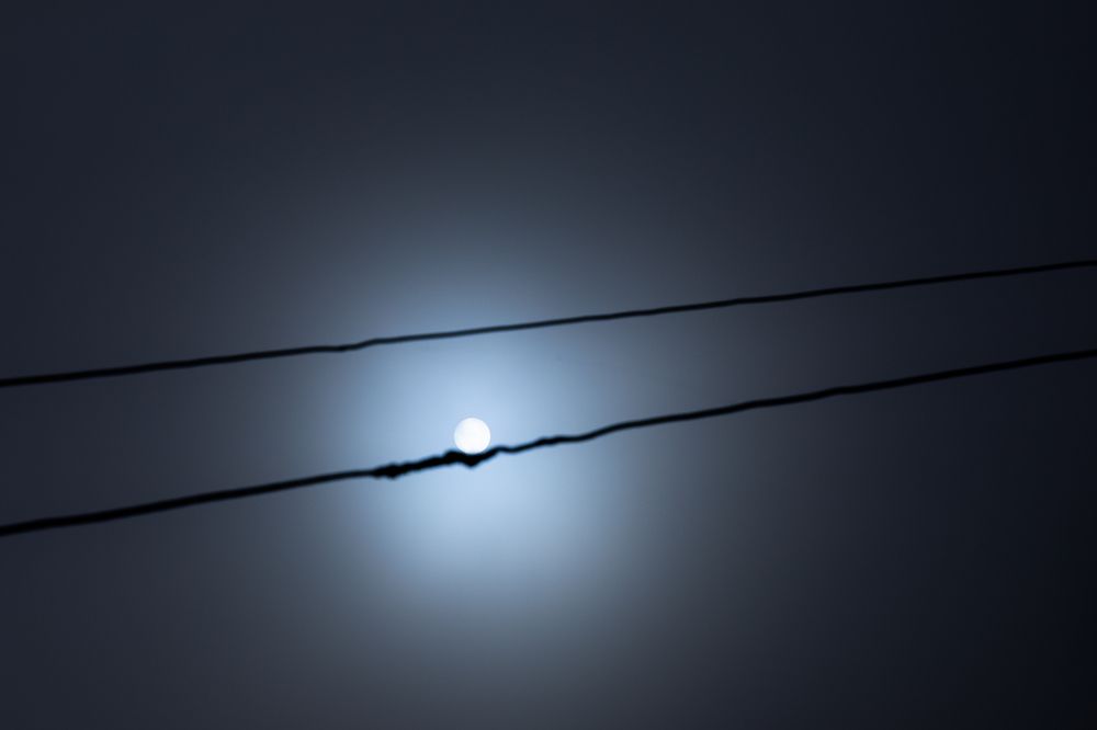 Photograph by Zamin Jafarov