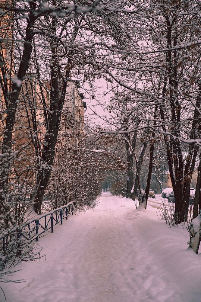 Photograph by Дмитрий Солодухин