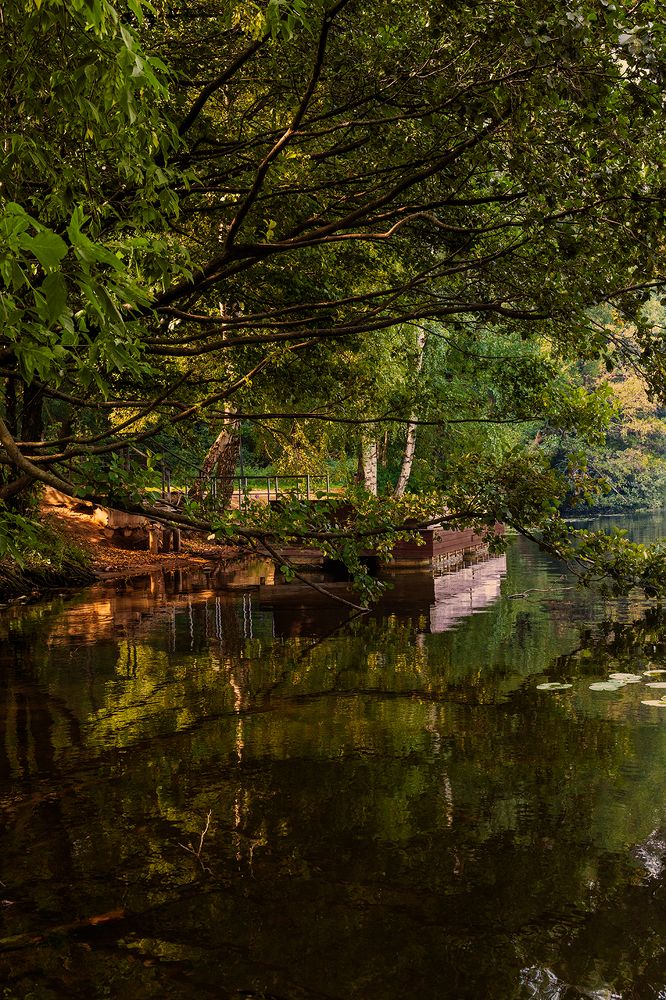 Photograph by Michel