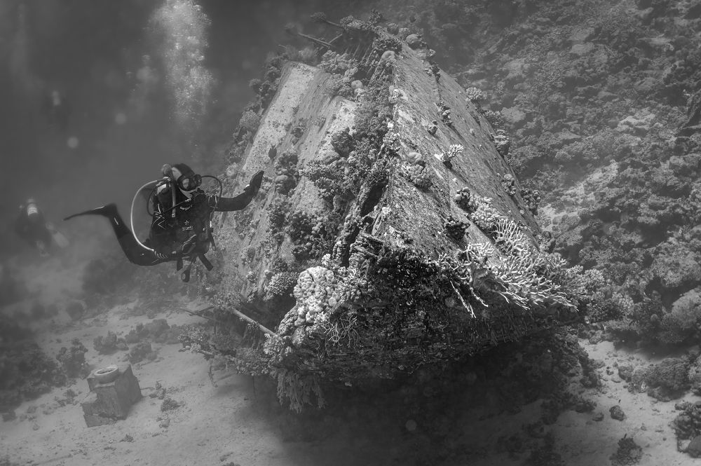 Photograph by Валерий Одинцов