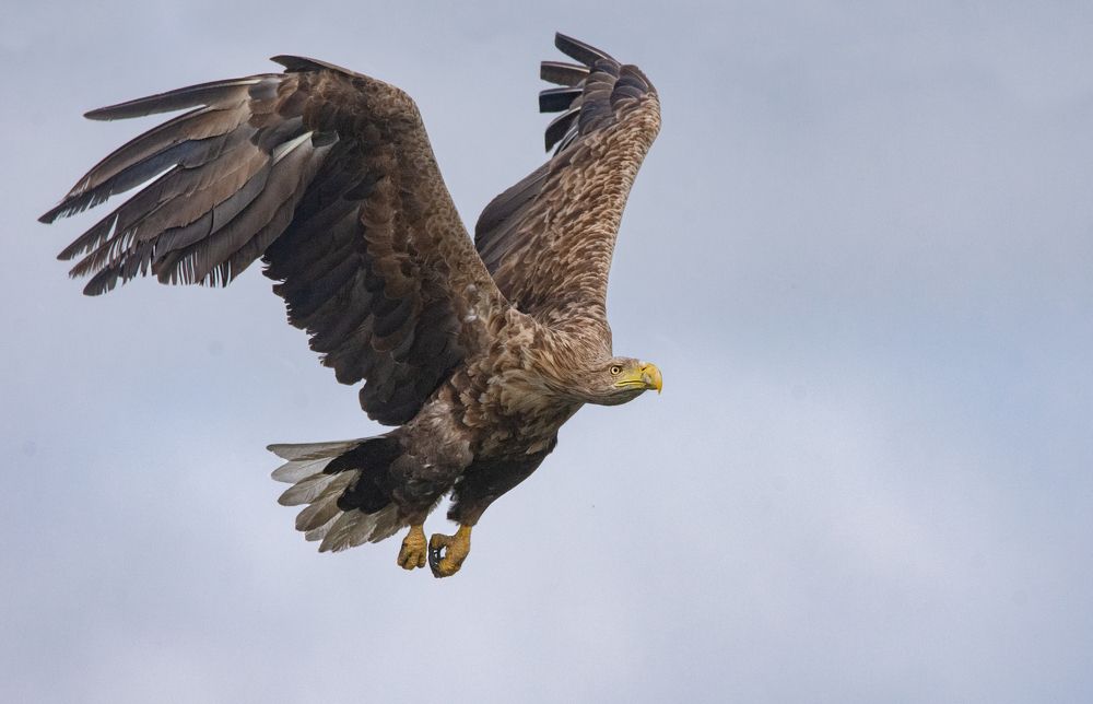 Фотография автора Татьяна Ливеровская