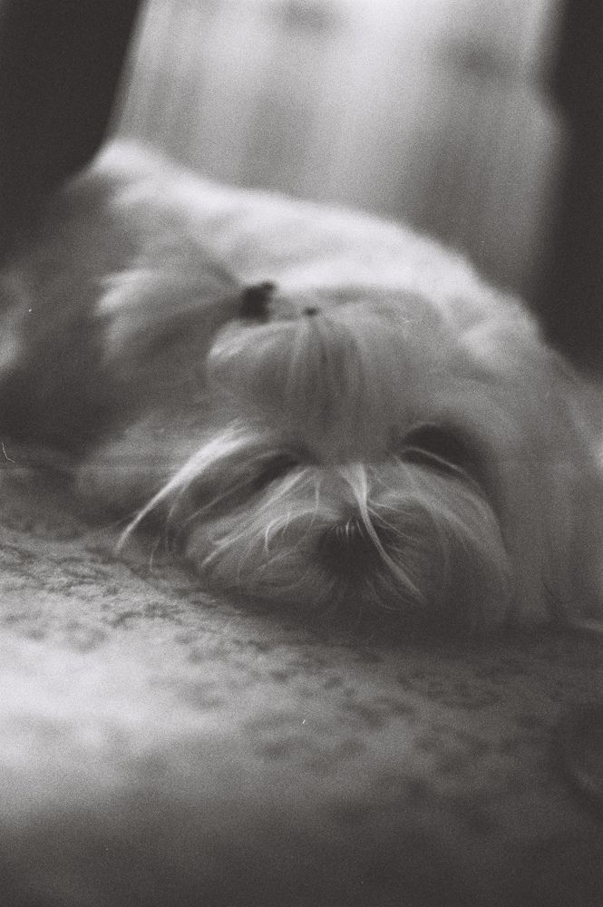 Photograph by Павел Сандуленко