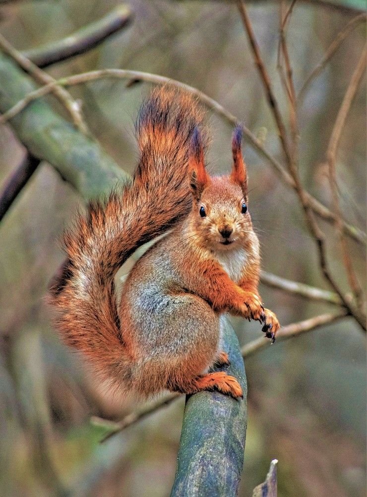 Photograph by Алексей Сиваков