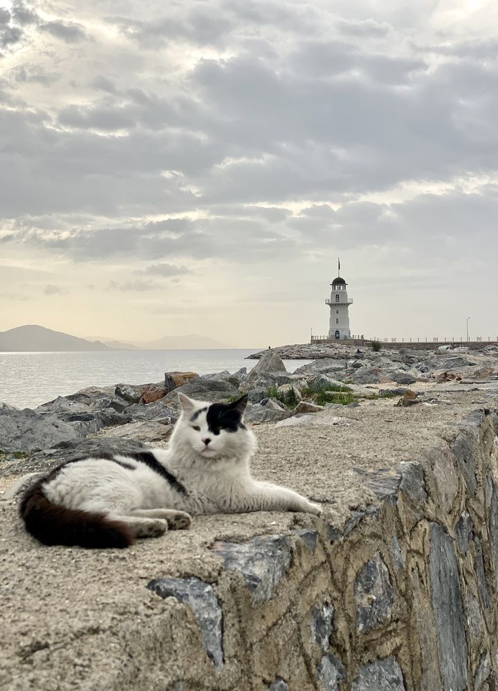 Photograph by Ирина Сорока