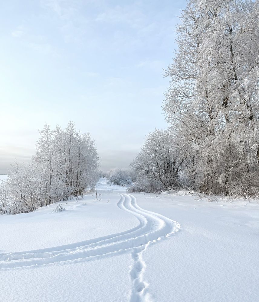 Photograph by Елена Павлова