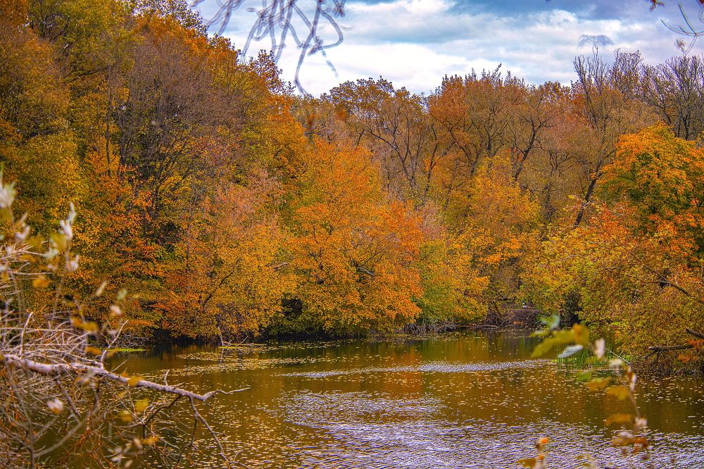 Photograph by Алексей Сиваков