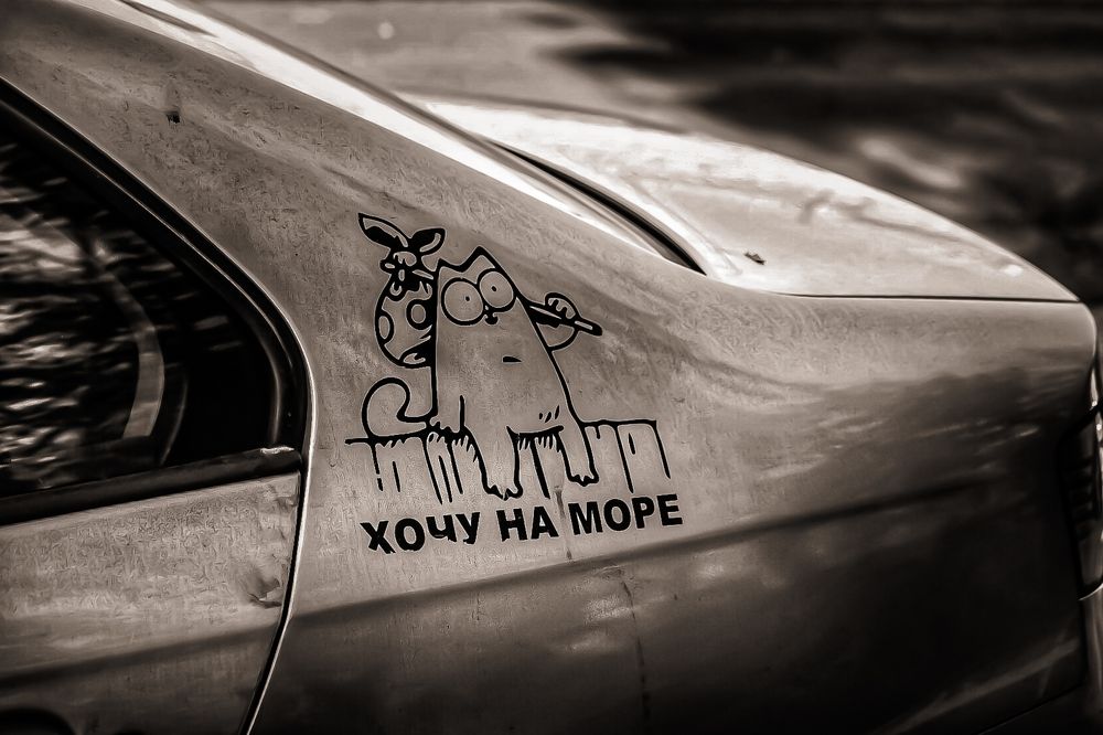 Photograph by Татьяна Бравая