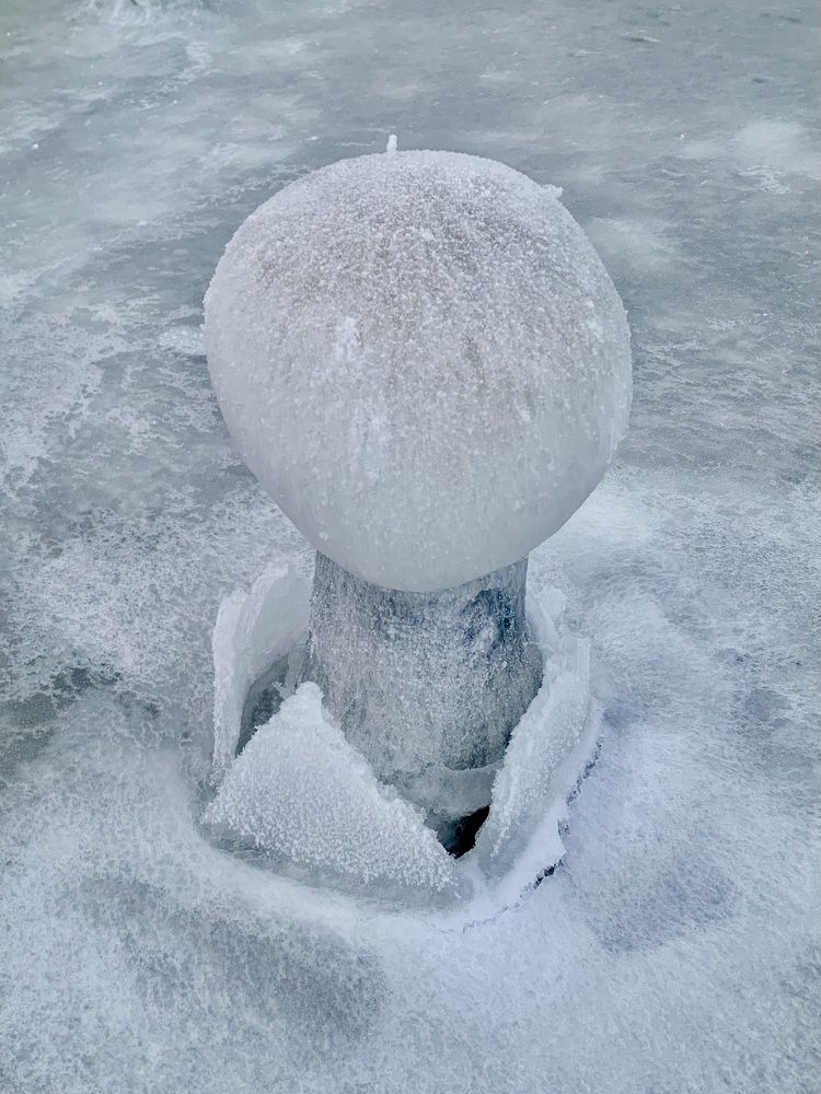 Photograph by Наталья Бирук