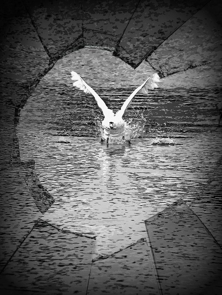 Фотография автора Александр