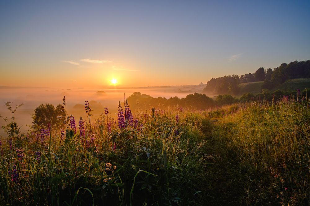 Photograph by Александр Корженков