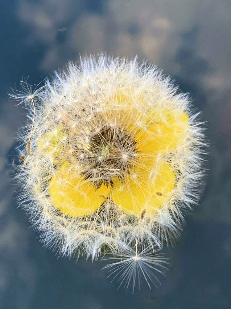 Photograph by Наталья Бирук