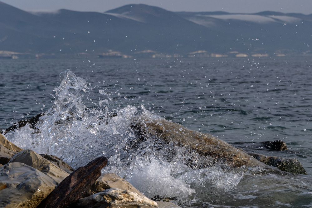 Фотография автора Марина Тирских