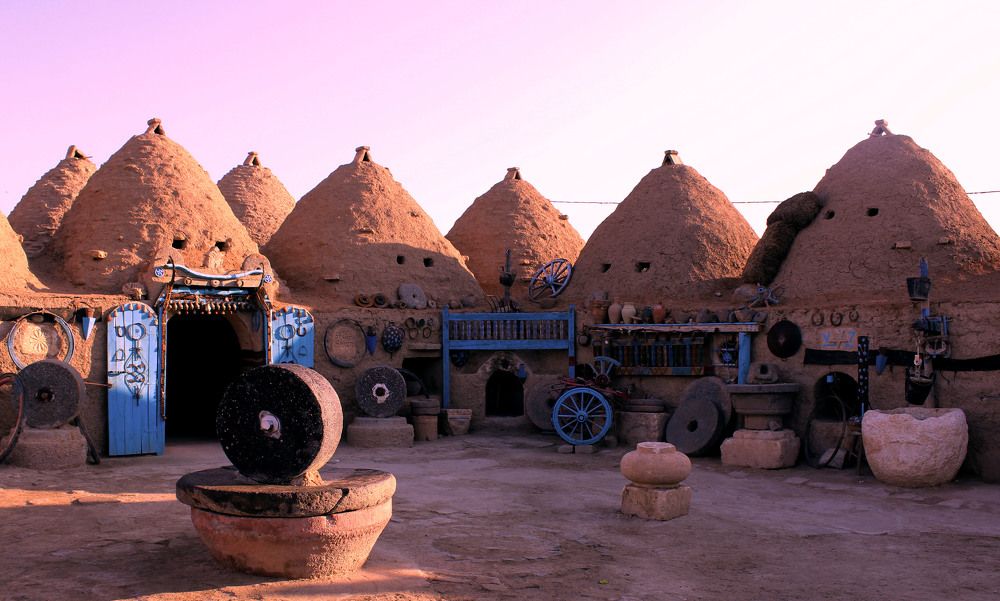 Harran üniversitesi