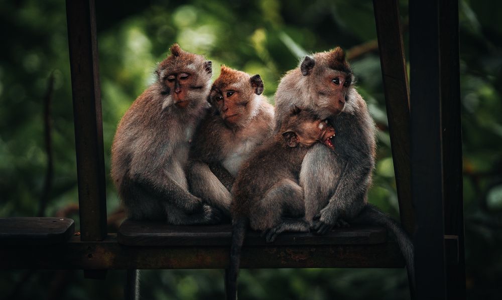 Photograph by William Rodriguez