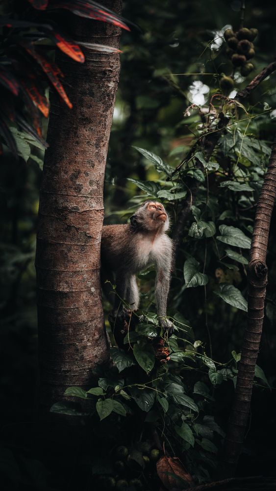 Photograph by William Rodriguez