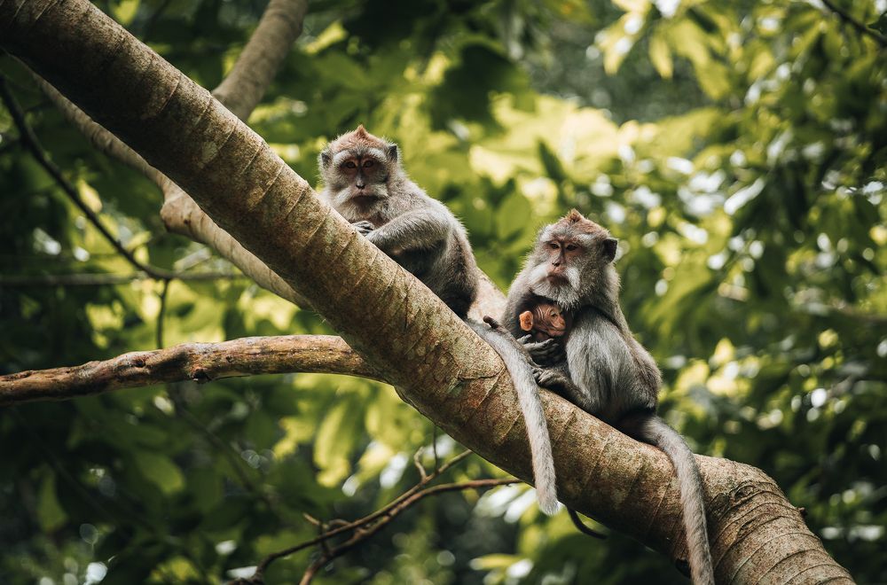 Photograph by William Rodriguez