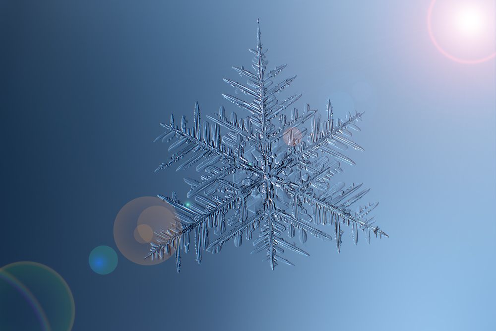 Photograph by Алексей Козлов