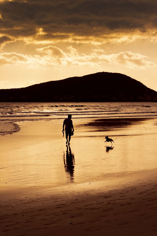 Фотография автора Алена