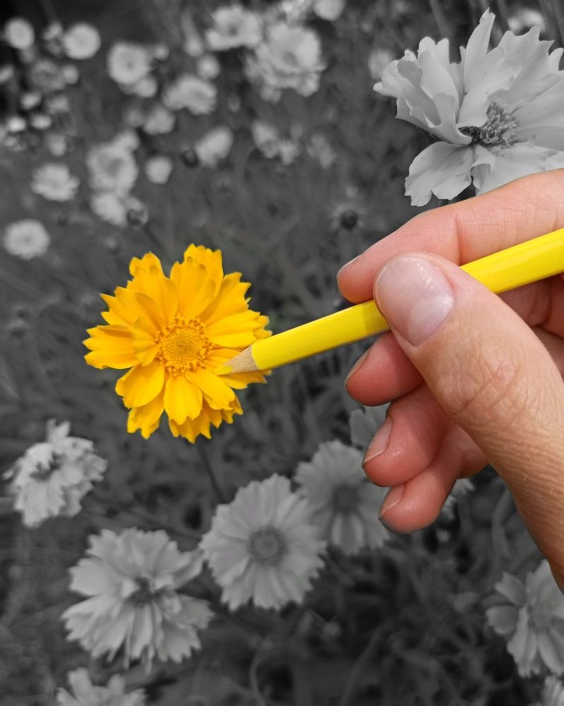 Photograph by Elena Bogomolova