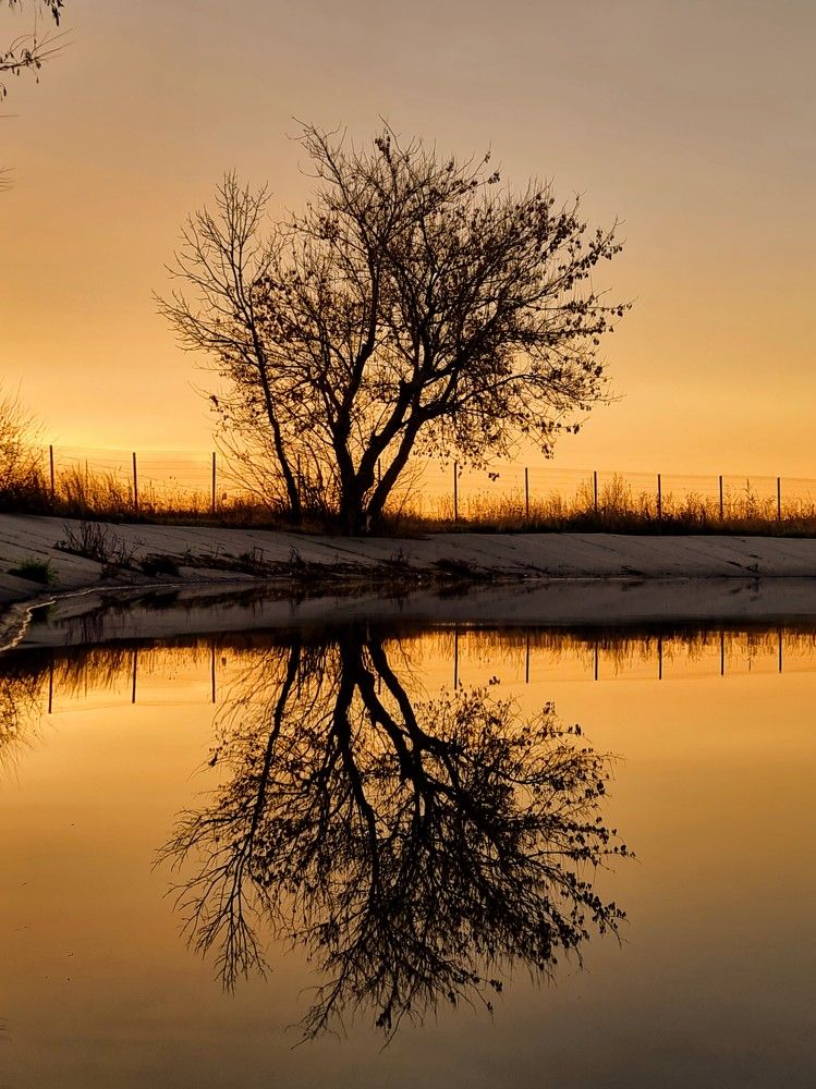 Photograph by Лидия Лащева