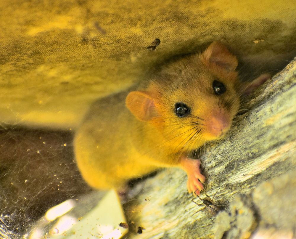 Photograph by Николай Абакумов