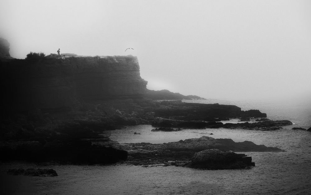 Photograph by Маргарита Смоленская