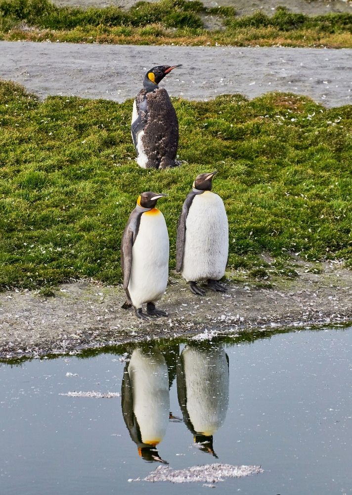 Фотография автора Tatiana Yerushevskaya