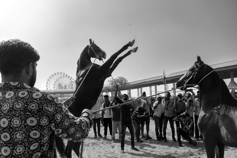 Photograph by Arnab Raha