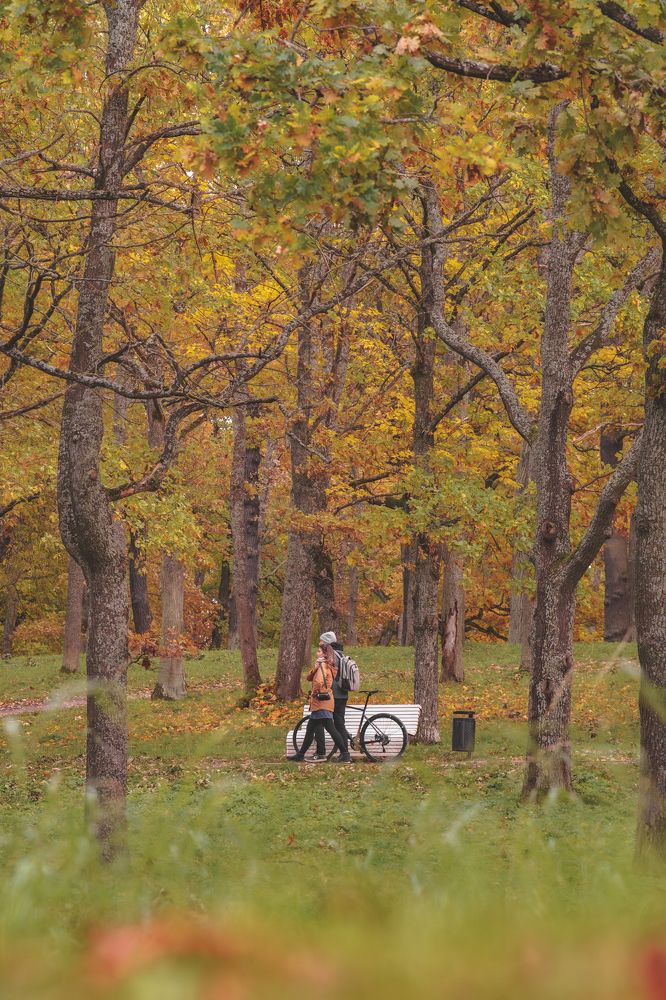 Photograph by Nikolay Surovtsev