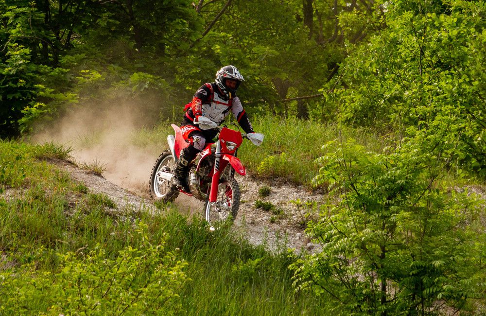 Фотография автора Алексей Тимофеев