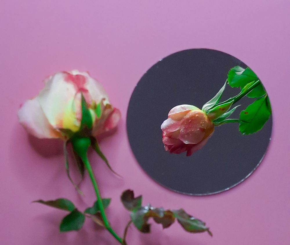 Фотография автора Оксана