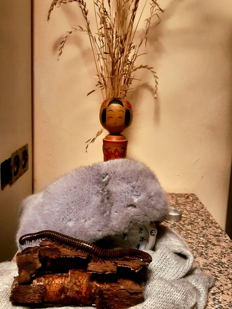 Photograph by Екатерина