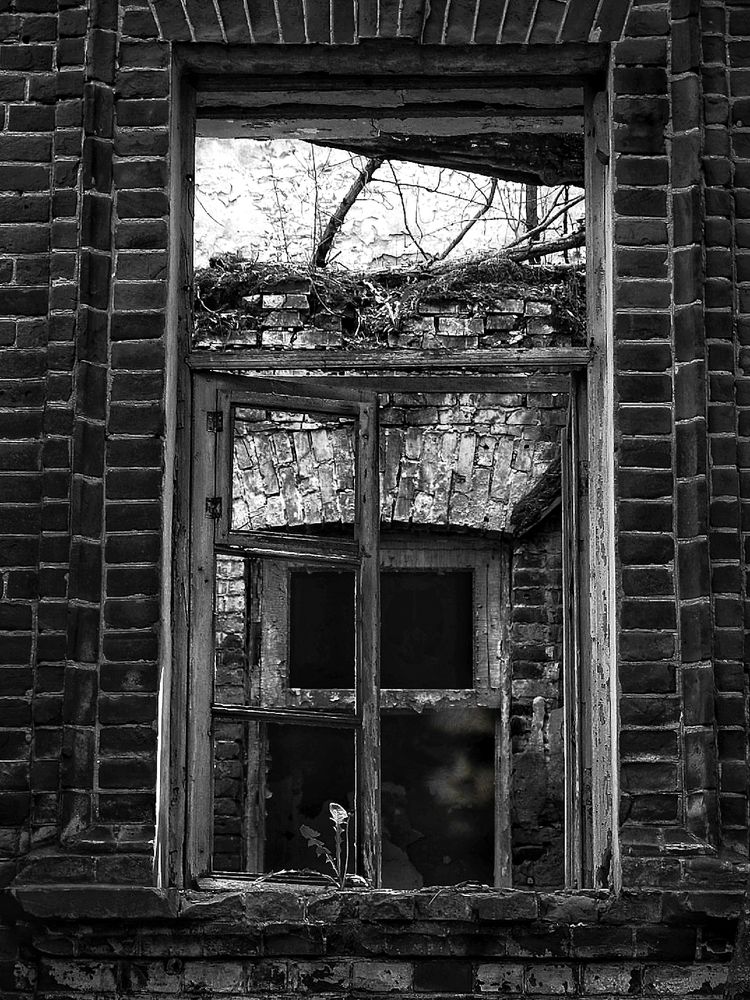 Поселиться в вечность