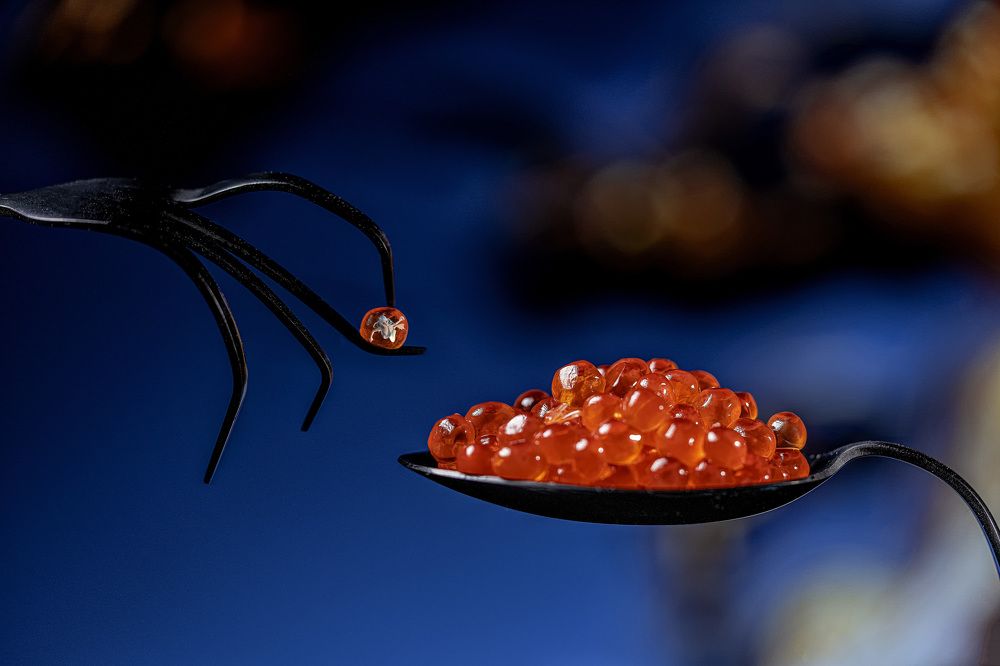 Фотография автора Igor Lukin