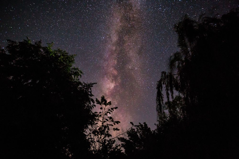 Photograph by Ayaz Mikayilzadeh