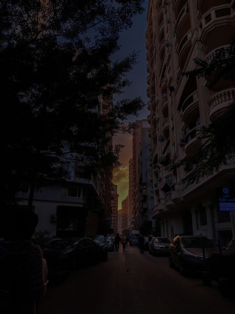 Фотография автора Mennatullah Dakhly