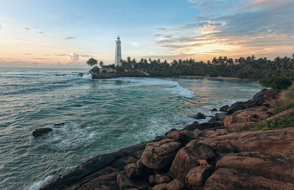 Photograph by Артем Воробьев