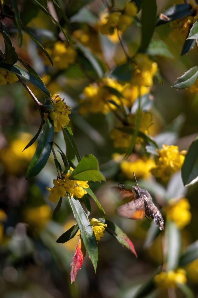 Photograph by Александр Свиблов