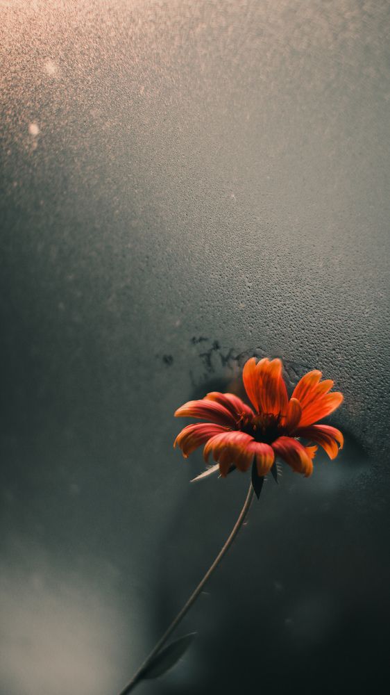 Photograph by Алексей Аверин