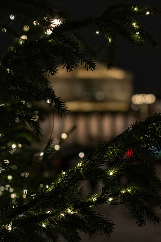 Photograph by Александр Свиблов